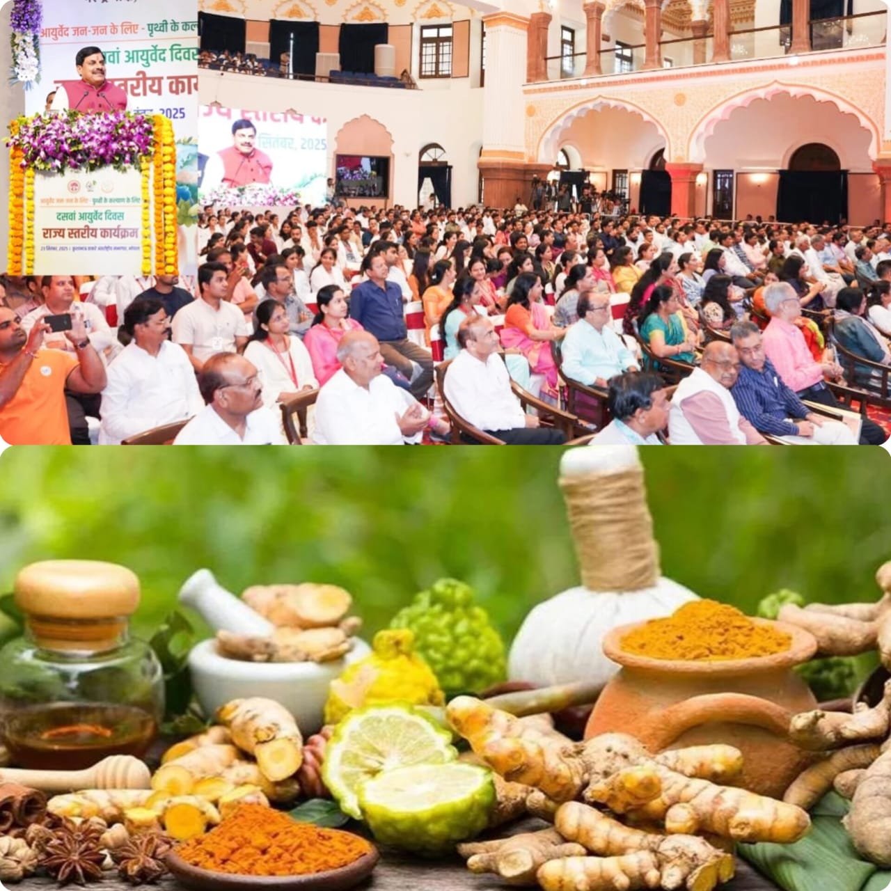 पहला सुख निरोगी काया 10वें राष्ट्रीय आयुर्वेद दिवस' पर टोल फ्री नंबर - 155258 जारी